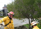 Training- (21)